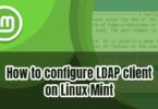 How to configure LDAP client on Linux Mint