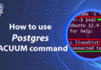 How to use Postgres VACUUM command