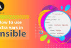 How to use extra vars in Ansible