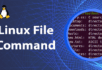 Linux File Command