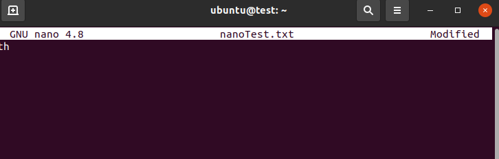 How to Undo in Nano Editor [Nano Undo Command]