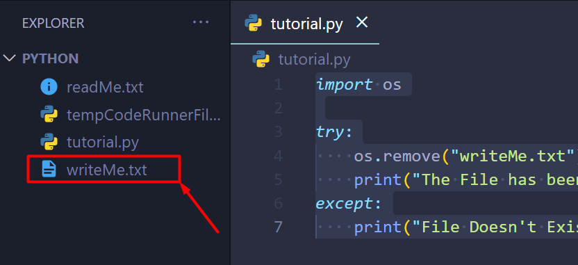 Python Delete File If Exists