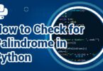 How to Check for Palindrome in Python