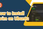 How to Install Gvim on Ubuntu 20.04