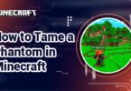 How to Tame a Phantom in Minecraft