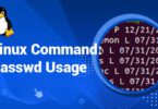Linux Command: Passwd Usage