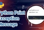 Python Print Exception Message