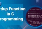 Strdup Function in C Programming
