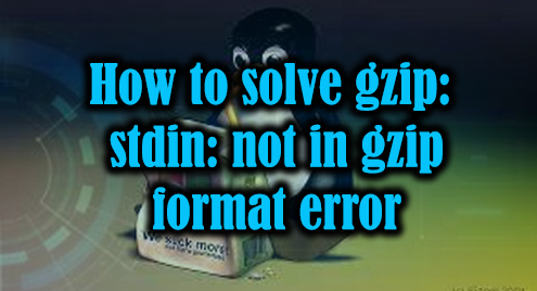 How To Solve Gzip: Stdin: Not In Gzip Format Error