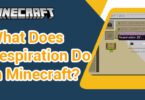 What Does Respiration Do in Minecraft?