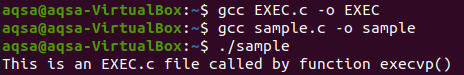C: execve function usage