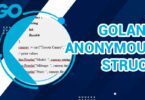 Golang Anonymous Struct