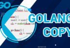 Golang Copy