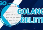 Golang Delete File