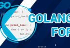 Golang For Loop