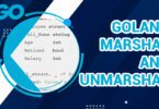 Golang Marshal and Unmarshal