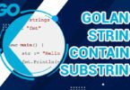 Golang String Contains Substring