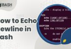 How to Echo Newline in Bash