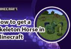 How to get a Skeleton Horse in Minecraft