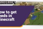 How to get seeds in Minecraft