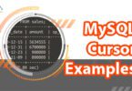 MySQL Cursor Examples