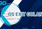 OS Exit Golang