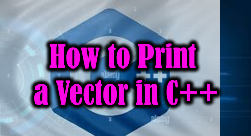 How To Print A Vector In C++