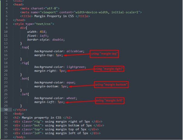 Margin Property In CSS Explained