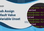 Bash Assign Default Value if Variable Unset