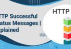 HTTP Successful Status Messages | Explained