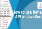 How to use Reflect API in JavaScript