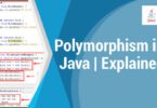 Polymorphism in Java | Explained