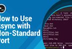 How to Use Rsync with Non-Standard Port