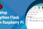 Setup Python Flask on Raspberry Pi