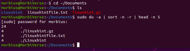 Check Largest Files Linux