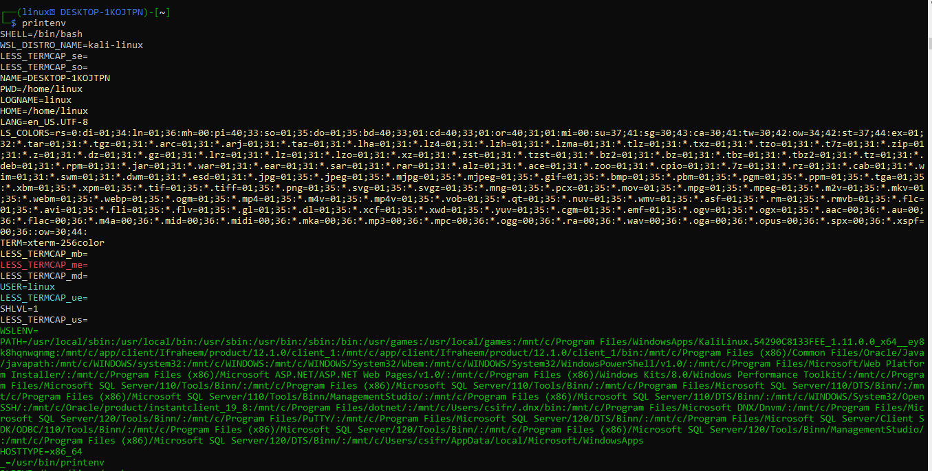 tcl-error-no-display-name-or-display-environment-variable-how-to-fix-it