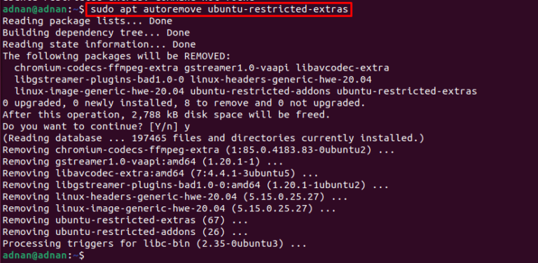 install-multimedia-codecs-on-ubuntu-22-04