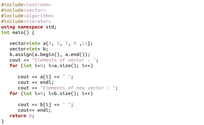 c copy assignment operator vector