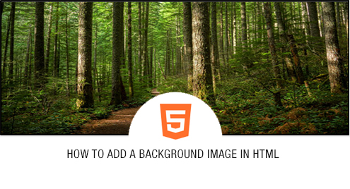 How to Add a Background Image in HTML