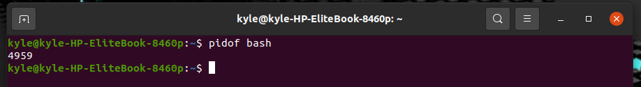 how-to-use-the-pmap-linux-command-to-check-memory-usage