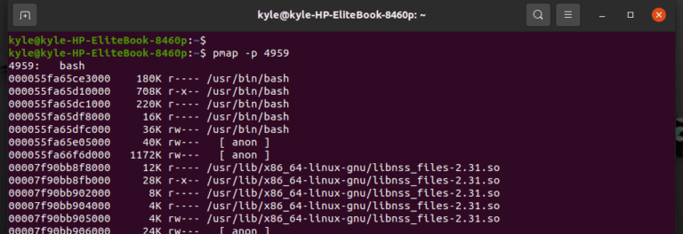 how-to-use-the-pmap-linux-command-to-check-memory-usage