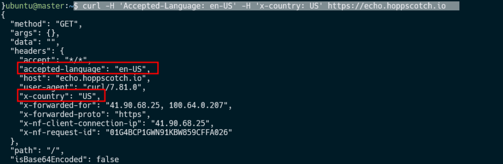 curl-does-not-lowercase-header-names-for-http-2-and-http-3-issue