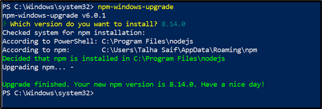 update npm version