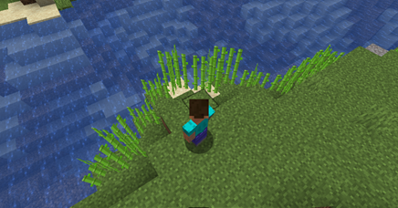 How to plant Sugarcane in Minecraft