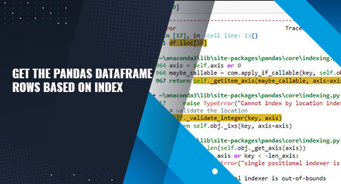 Get The Pandas Dataframe Rows Based On Index