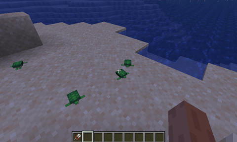 How long does it take Turtle Eggs to in Minecraft