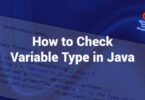 How to Check Variable Type in Java