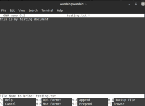 edit file in linux cli