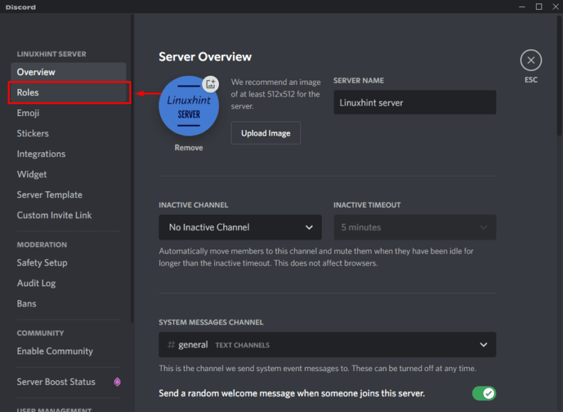 How to Give Permissions on Discord