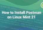 How to Install Postman on Linux Mint 21